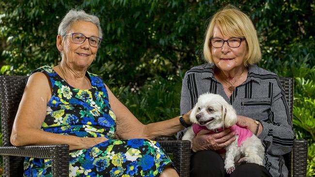 Carol Hayes with Councillor Dawn Crichlow and Princess Pookie. Picture: Jerad Williams