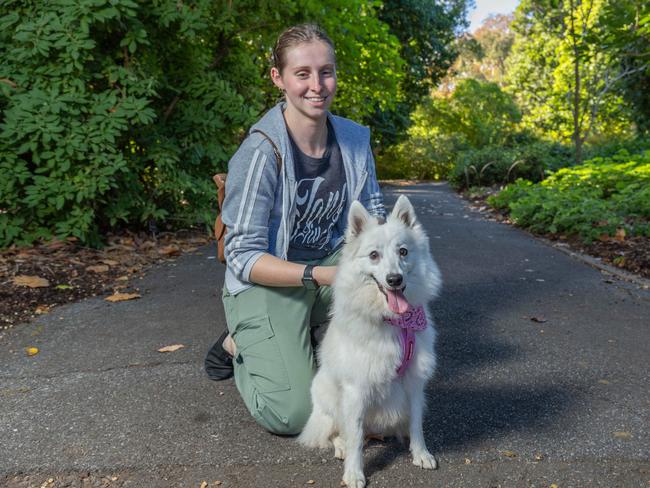 RSPCA SA's Million Paws Walk in Adelaide on May 25, 2025. Picture: Ben Clark