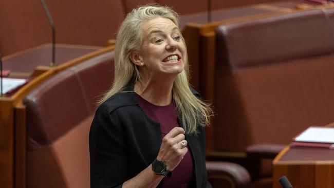 Bridget Mckenzie isn’t happy with the audit. Picture: NCA NewsWire / Gary Ramage