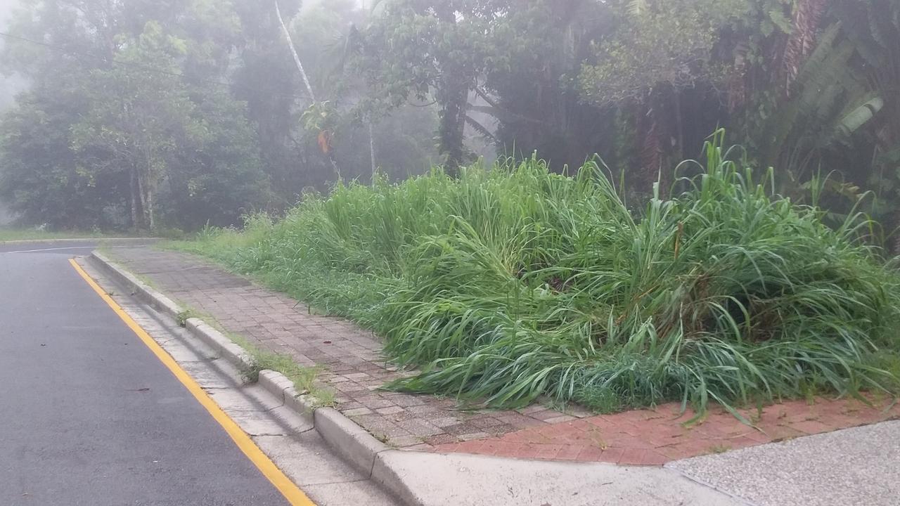 Kuranda residents believe the village in the rainforest has been forgotten by Mareeba Shire Council in terms of up-keep of the town and delivery of maintenance to pubic areas. Picture: Supplied