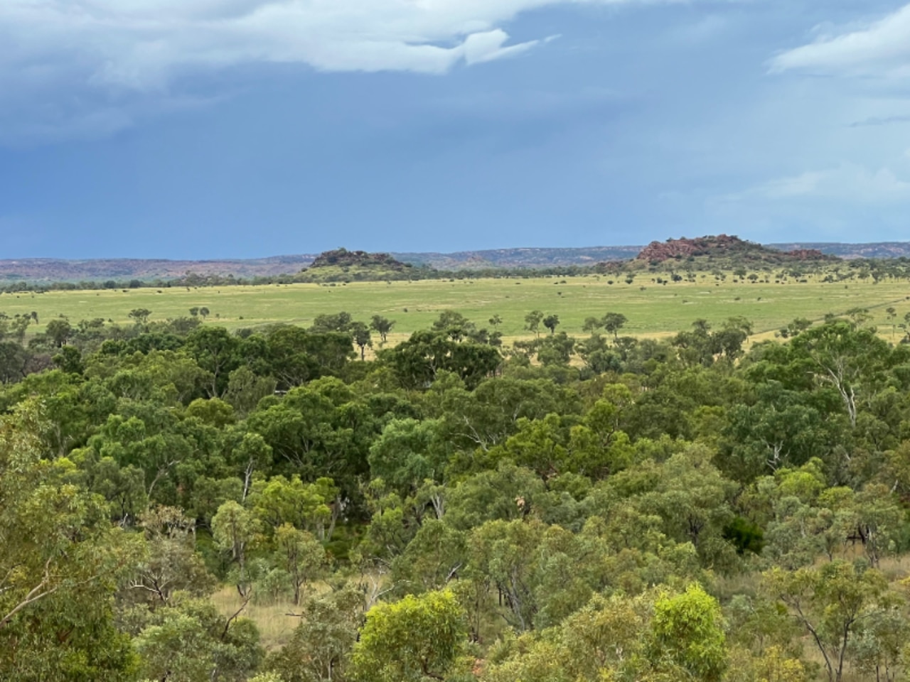 Huge Queensland cattle station sold for $47.5m at auction