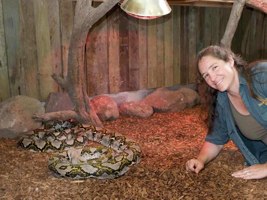 Retro pic special: Who’s who in Darling Downs Zoo | The Courier Mail