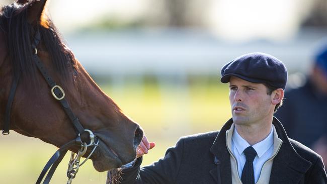 Godolphin trainer James Cummings has Vientiane placed to resume with a win at Warwick Farm on Wednesday.