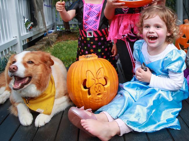 Elle Scott, 2, will be trick or treating safely. Picture: Justin Lloyd