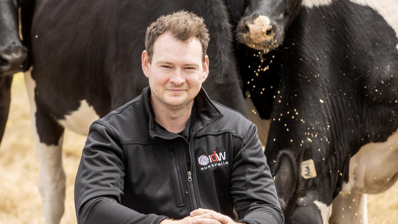 Declan Patten gears up for 2025 International Dairy Week