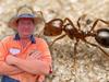 ‘Logistical nightmare’: Business owner’s fears in fire ant frenzy