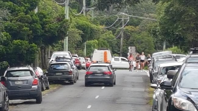 Visitors at Springbrook National Park during the coronavirus pandemic. Picture: Supplied