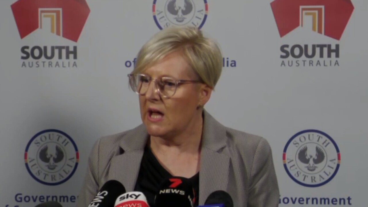 International search effort sees SA land new Child Protection Department CEO
