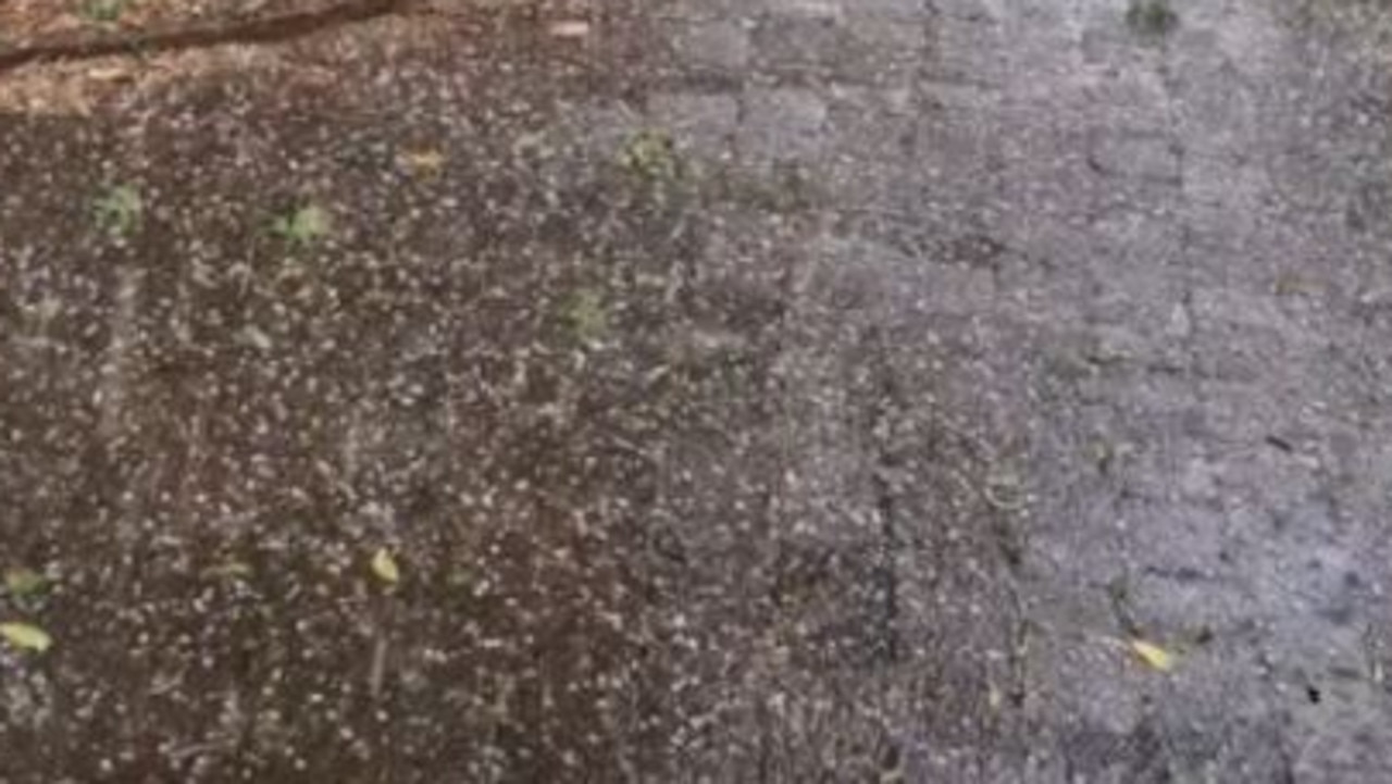 Small hail in Toowoomba on Thursday afternoon after storms swept across the Darling Downs and much of the southern half of the state. Picture: Facebook