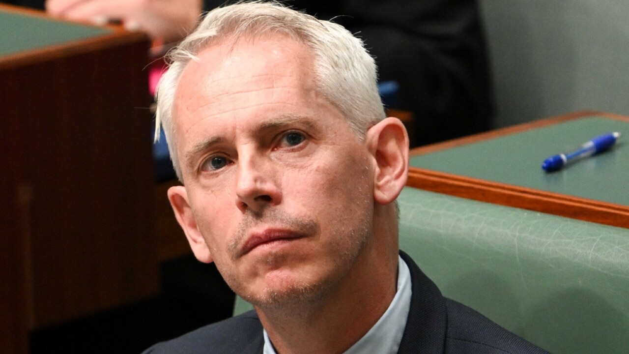 Andrew Giles labelled the ‘most incompetent minister’ in Labor’s ‘chaotic’ government