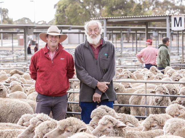 LIVESTOCK: Bendigo Saleyards sheep auctionsSelling sheep at Bendigo Livestock ExchangePictured: L-R Nigel Starick Auctioneer Elders and Graeme Broad from Durham Ox selling 100 mutton