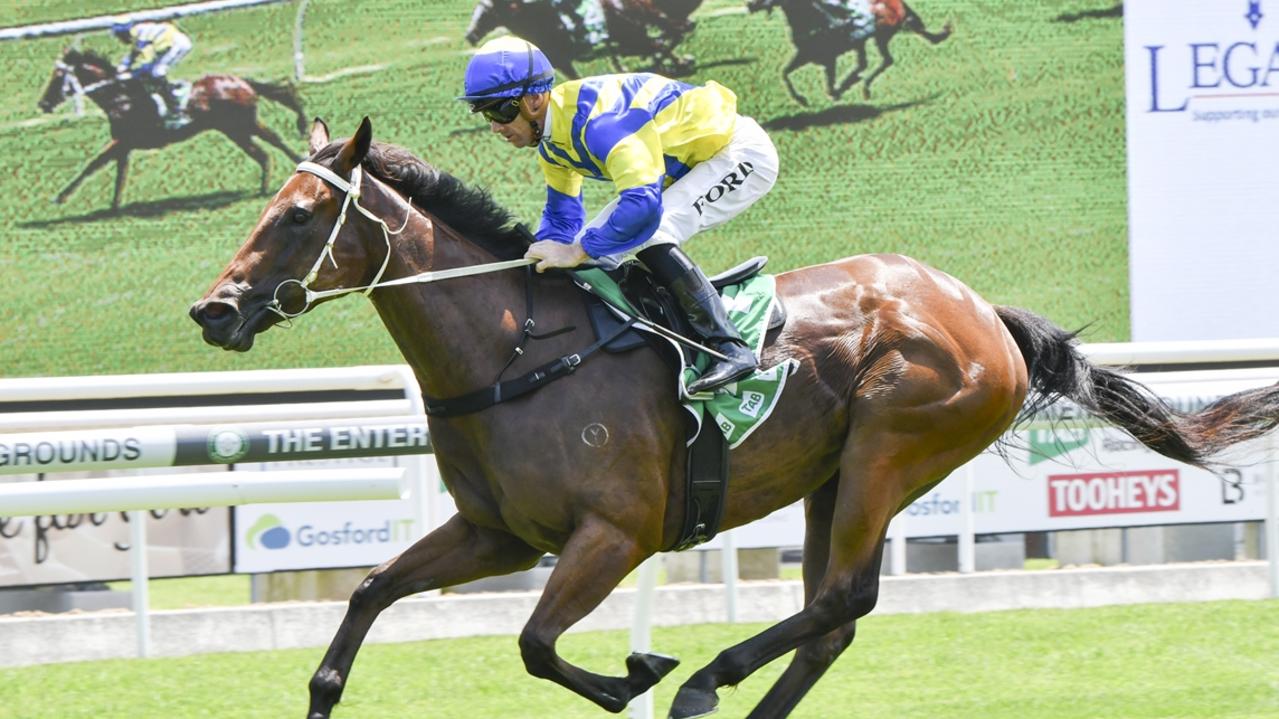 Lady Extreme can make it two from two when she returns to Gosford. Picture: Bradley Photos