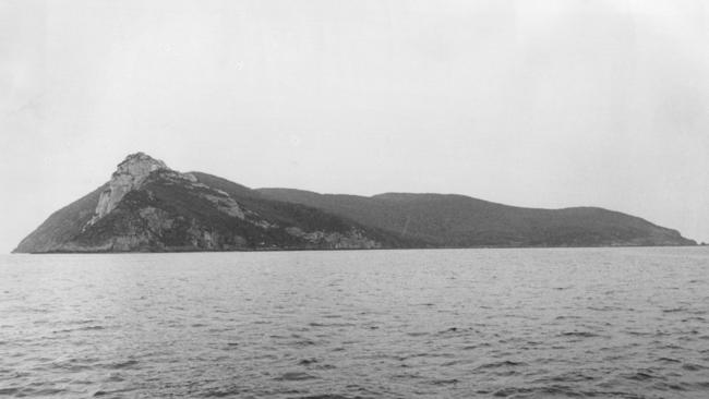 De Witt Island, an outcrop 6km off Tasmania’s rugged South Coast was the remote home of Melbourne teenager Jane Cooper. The island, also called Big Witch, is difficult to reach because of its rocky coast and treacherous sea.