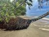 In pictures: Beach access restricted due to serious erosion dangers