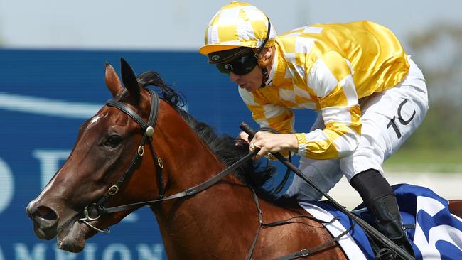 Blue Diamond runner-up Lady Of Camelot had her final Golden Slipper hit-out at Hawkesbury on Monday morning Picture: Jeremy Ng/Getty Images