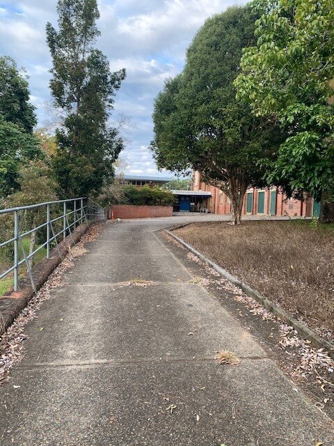 Path to the main block of the abandoned Murwillumbah High School. Picture: Supplied