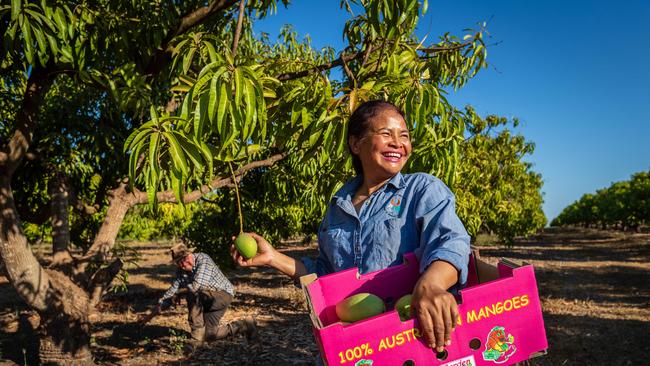 Tou Ruchkaew and her husband Ian Quin at their mango farm Tou's Garden outside Darwin.