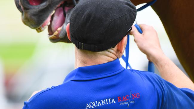 Racing Victoria’s move to potentially disqualify 81 horses snared in the Aquanita doping scandal will be globally monitored. Picture: Getty Images