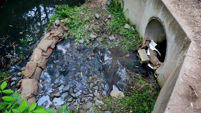 The water is believed to be polluted run-off. (AAP IMAGE/ Angelo Velardo)