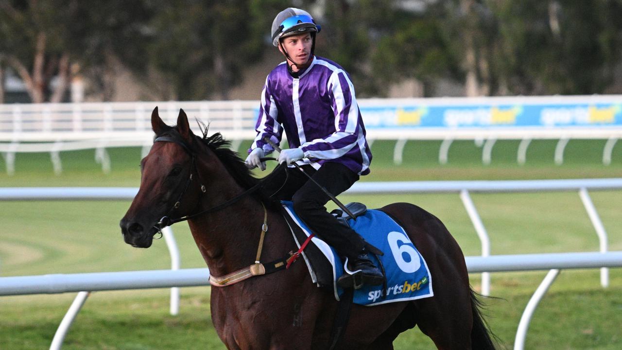 Jockey Michael Dee riding Espionage during gallops ahead of the colt’s possible tilt at Saturday’s Group 1 Oakleigh Plate at Caulfield. Picture: Getty Images