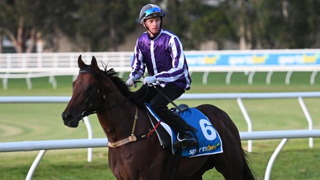 Jockey Michael Dee riding Espionage during gallops ahead of the colt’s possible tilt at Saturday’s Group 1 Oakleigh Plate at Caulfield. Picture: Getty Images