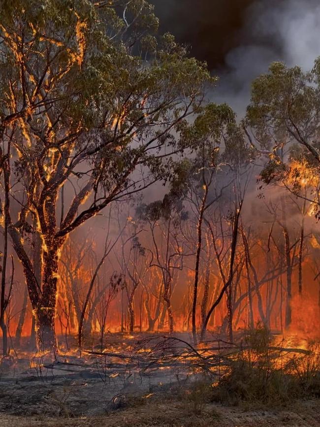 A bushfire burning in the Grampians region in Victoria on Saturday. Picture: Facebook/Kerang Fire Brigade