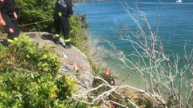 A NSW Fire and Rescue firefighter searches for the dog that had toppled off the Clontarf Track. Picture: NSW Police