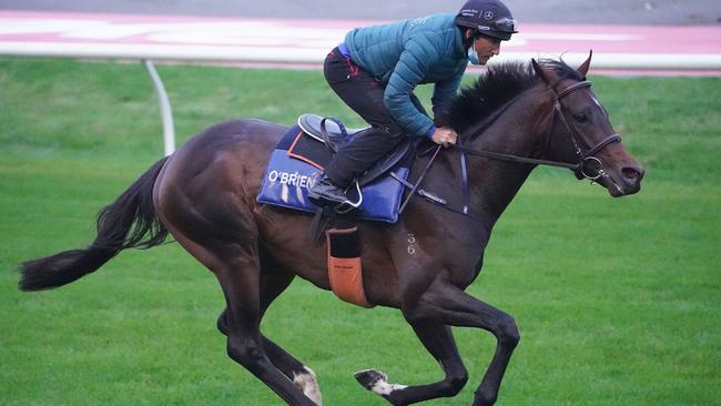 Russian Camelot strides out under jockey Damien Oliver in a track gallop at The Valley last Saturday morning. Photo: Scott Barbour/Racing Photos via Getty Images.