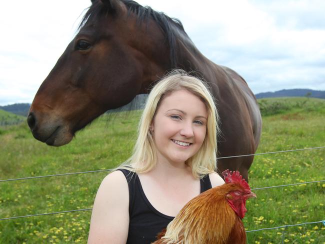 DVG Jobs. Derwent Valley Gazette. Grace Hills (pictured with Henry the rooster and Harley the horse) lives with her father at their property at Hayes in the Derwent Valley and rescues all kinds of animals. Many animals are donated or found on the sides of roads and she works three jobs to pay for animal feed, vet fees and re-housing costs. Picture: MATT THOMPSON.