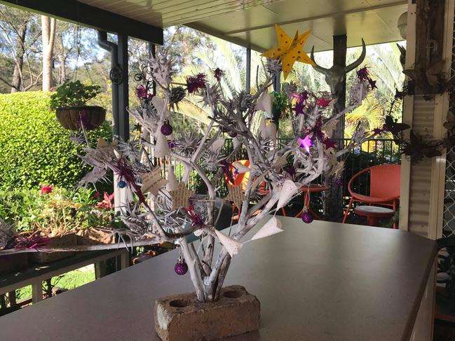 Christmas tree made of thistle bush, Cornubia. Credit: Katrina Fay Goldsworthy