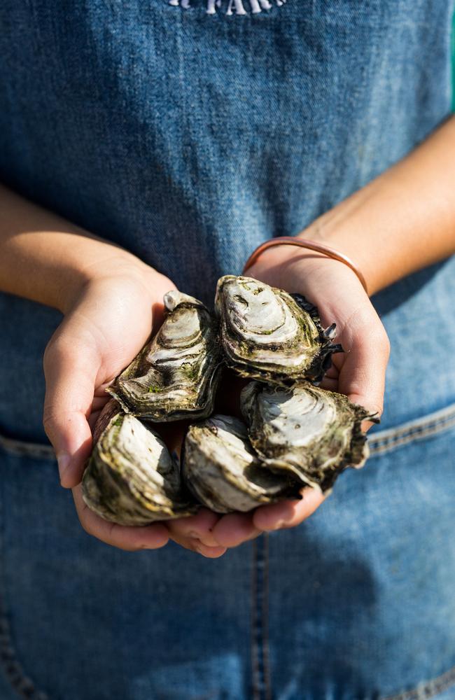 The Oyster Farm Shop on Kangaroo Island. Picture: Josie Withers