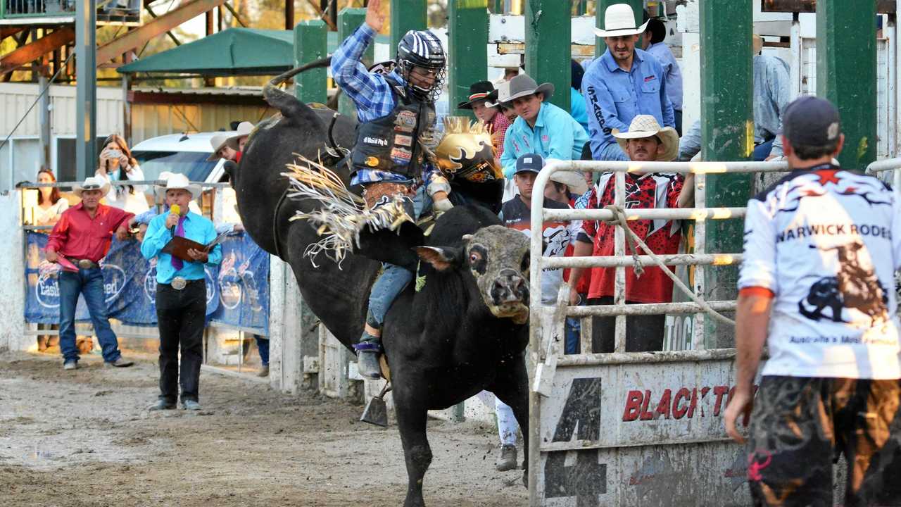 Chaps on sale bull riding