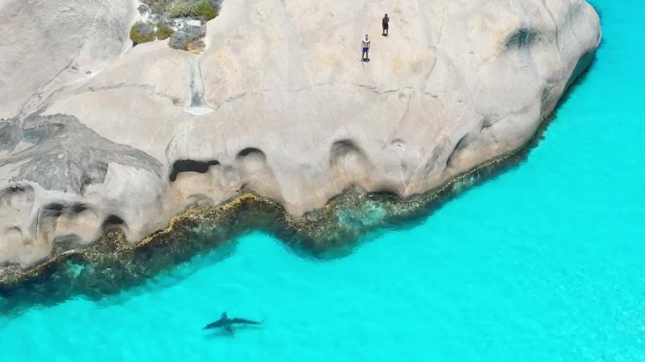 The great white shark circled the popular rock. Picture: Cale Walker/Facebook