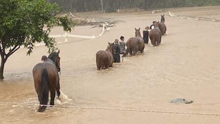 Melinda and her family get the horses moving after floodwaters receded slightly.