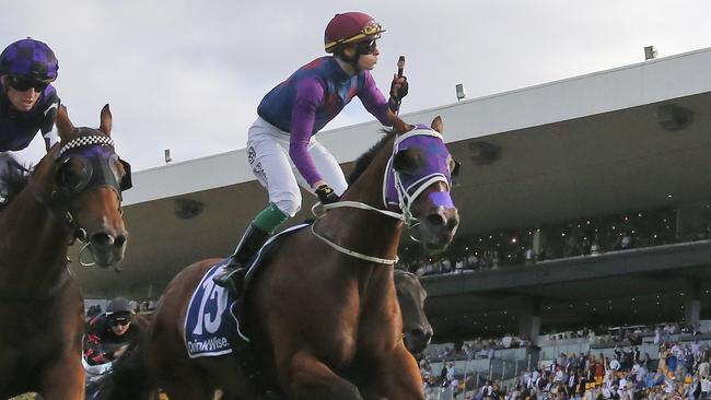 Shelby Sixtysix will trial at Goulburn on Tuesday. Picture: Mark Evans/Getty Images