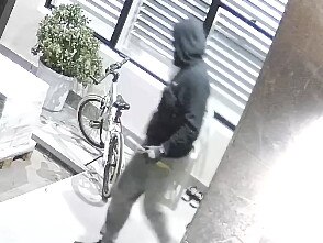 Police released chilling CCTV footage of armed thieves breaking into homes in Sydney as they appealed for assistance.