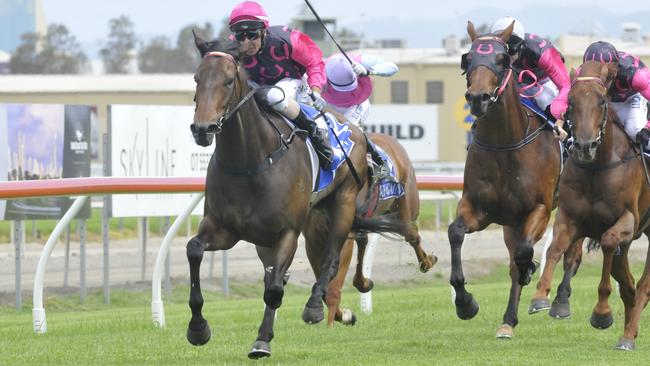 Roses Of Joy leads in a Heinrich-Rodgers stable trifecta at the Gold Coast in November. Picture: Jessica Hawkins, Trackside Photography.