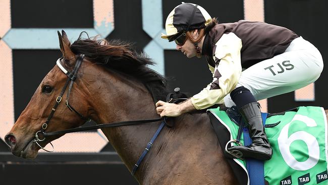 Villasaurus can win again at Rosehill on Saturday. Picture: Jeremy Ng/Getty Images