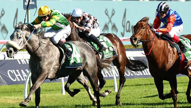 Chain Of Lightning wins the TJ Smith Stakes.