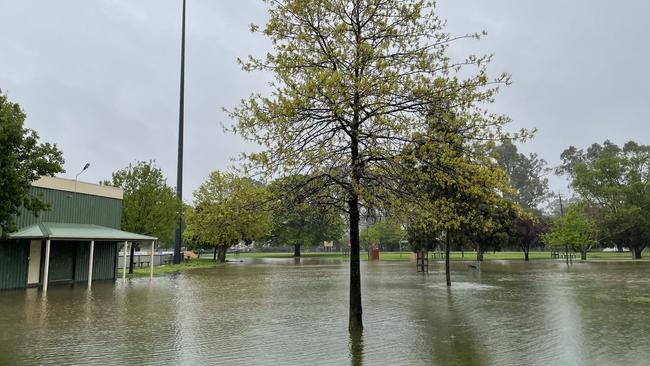 Kings Park in Seymour is flooded. Picture: Olivia Condous