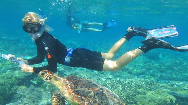 The Great Barrier Reef welcomes more than 2 millions visitors a year.