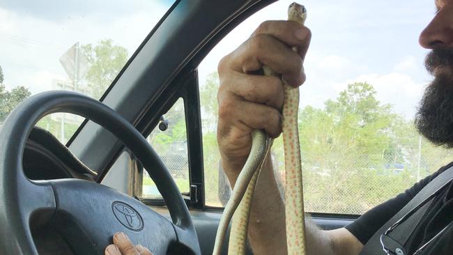 Jason Cash holding the brown snake. Picture: Max Cash