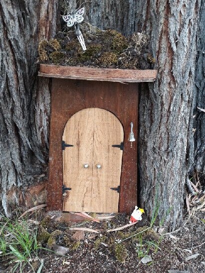 Paul Crompton installed the fairy door in Tulip Grove last September.