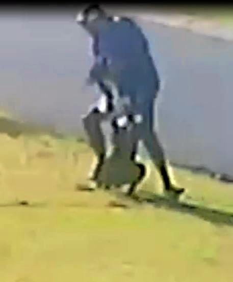 A man was caught on CCTV bashing a dog in North Mackay. Picture: RSPCA