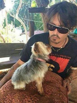 Johnny Depp with his dog.