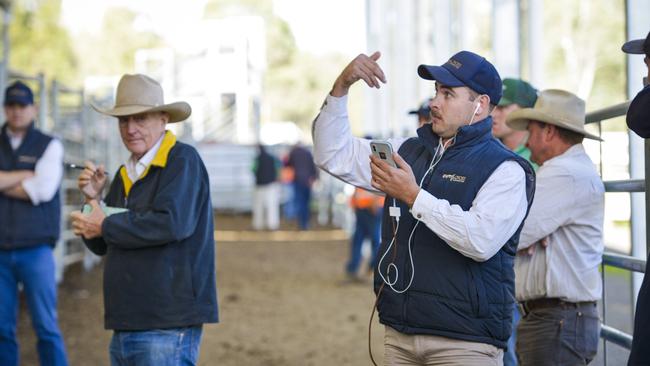 Adjusting process: Outcross agent Peter Brooker is seen taking live bids from AuctionsPlus and placing them in the auction at Yea earlier this month — the second store sale held since COVID-19 restrictions were put in place. <ld/>Picture: DANNIKA