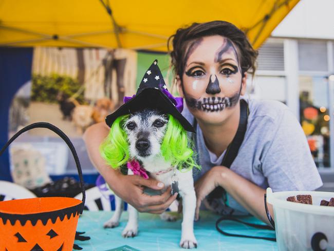 Dog lovers take note, Port Melbourne’s HOWL-O-Ween Paw Parade is back again this year. Picture: Supplied