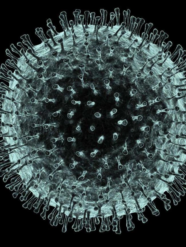 CHANGES EVERYTHING: Coronavirus. Computer artwork ©Science Photo Library