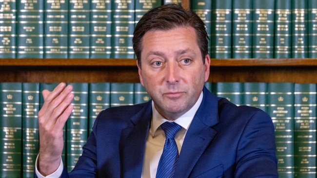 Victorian Liberal Leader Matthew Guy said Ms Lovell's comments were "exceptionally clumsy" but insists she meant well. Picture: David Geraghty