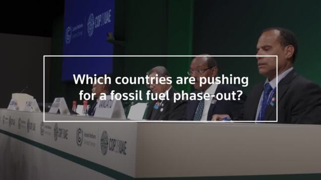 Who is pushing for a fossil fuel phase-out at COP28?